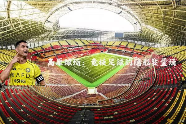 高原球场：竞技足球的隐形变量场
